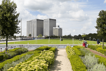 Urban Roofs in Rotterdam