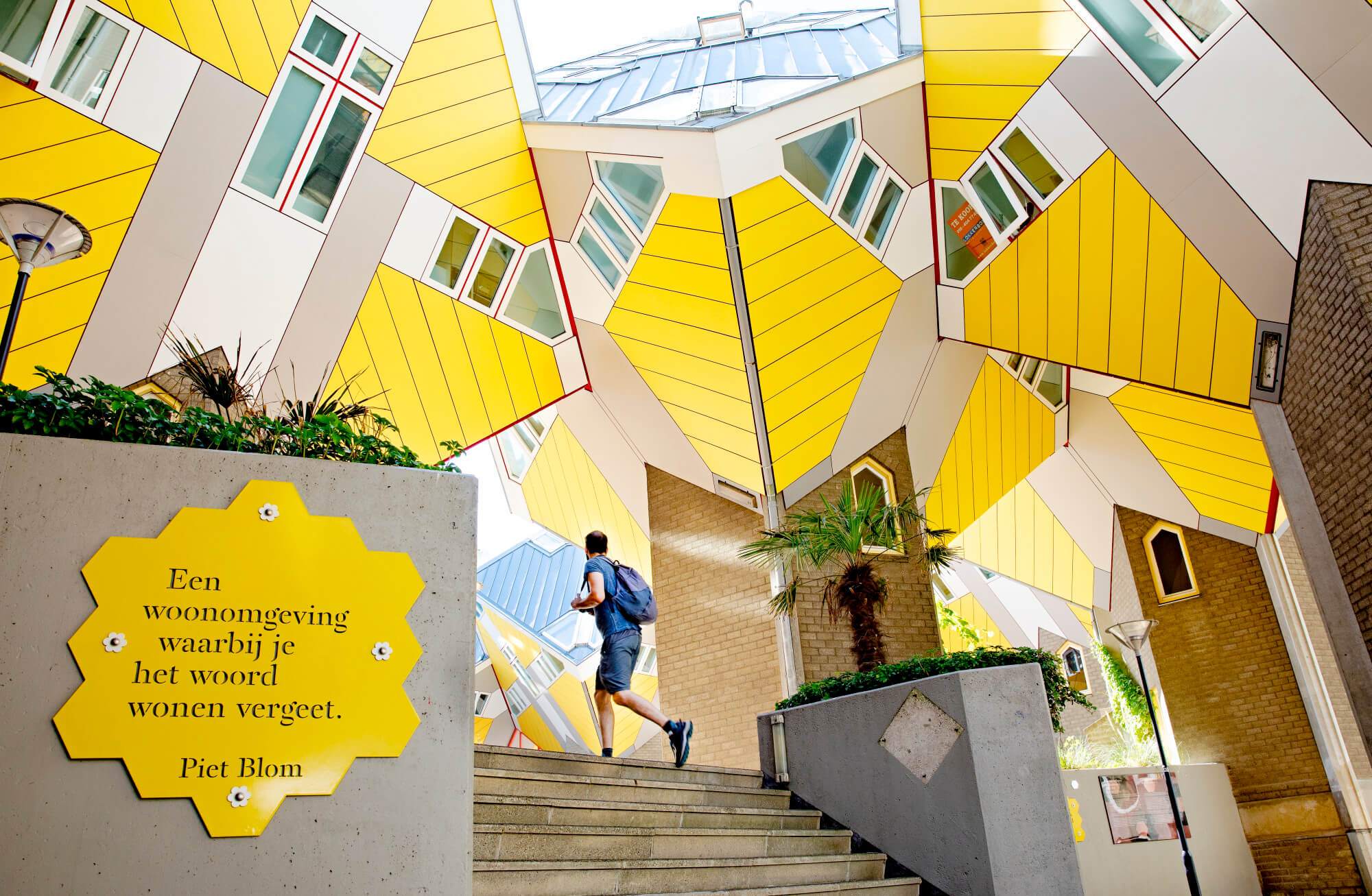 Cube Houses. Photo: Iris van den Broek