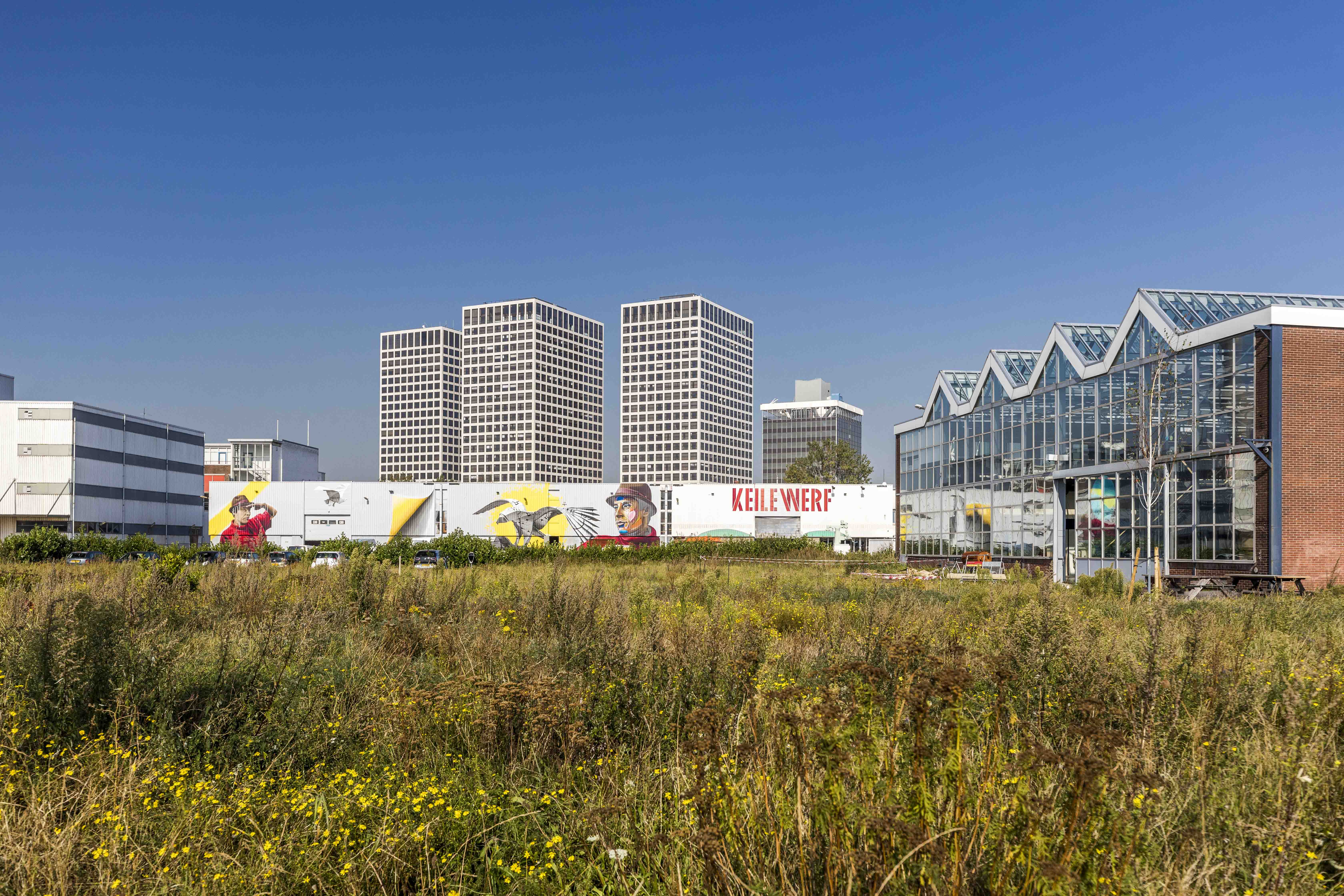 Dutch artist and innovator Daan Roosegaarde and his team connect people and technology in installations that improve daily life in urban environments, spark the imagination and fight the climate crisis.