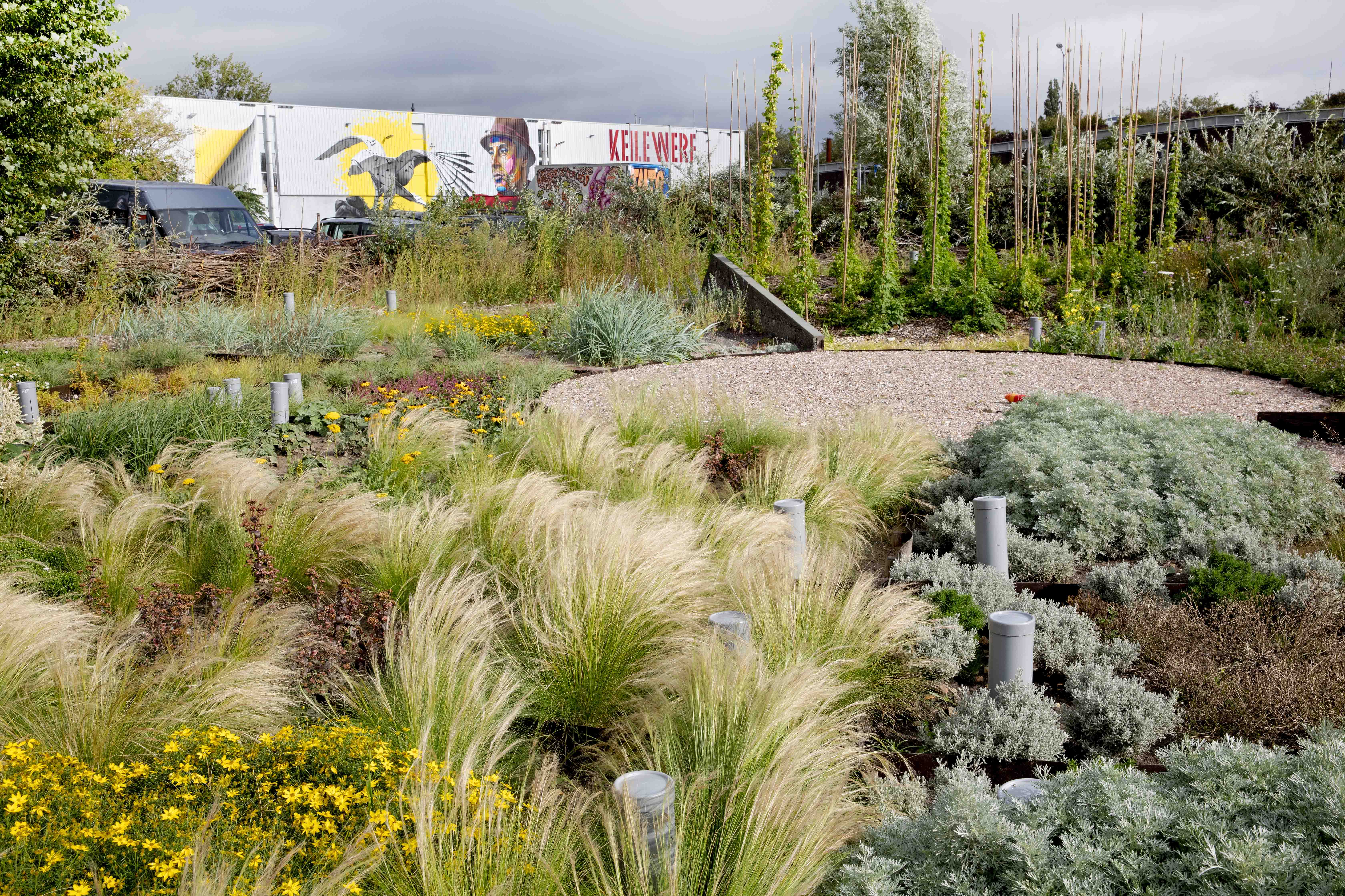 De Urbanisten have created the Sponge Garden to test new concepts for collecting, retaining and returning rainwater to the natural environment. 