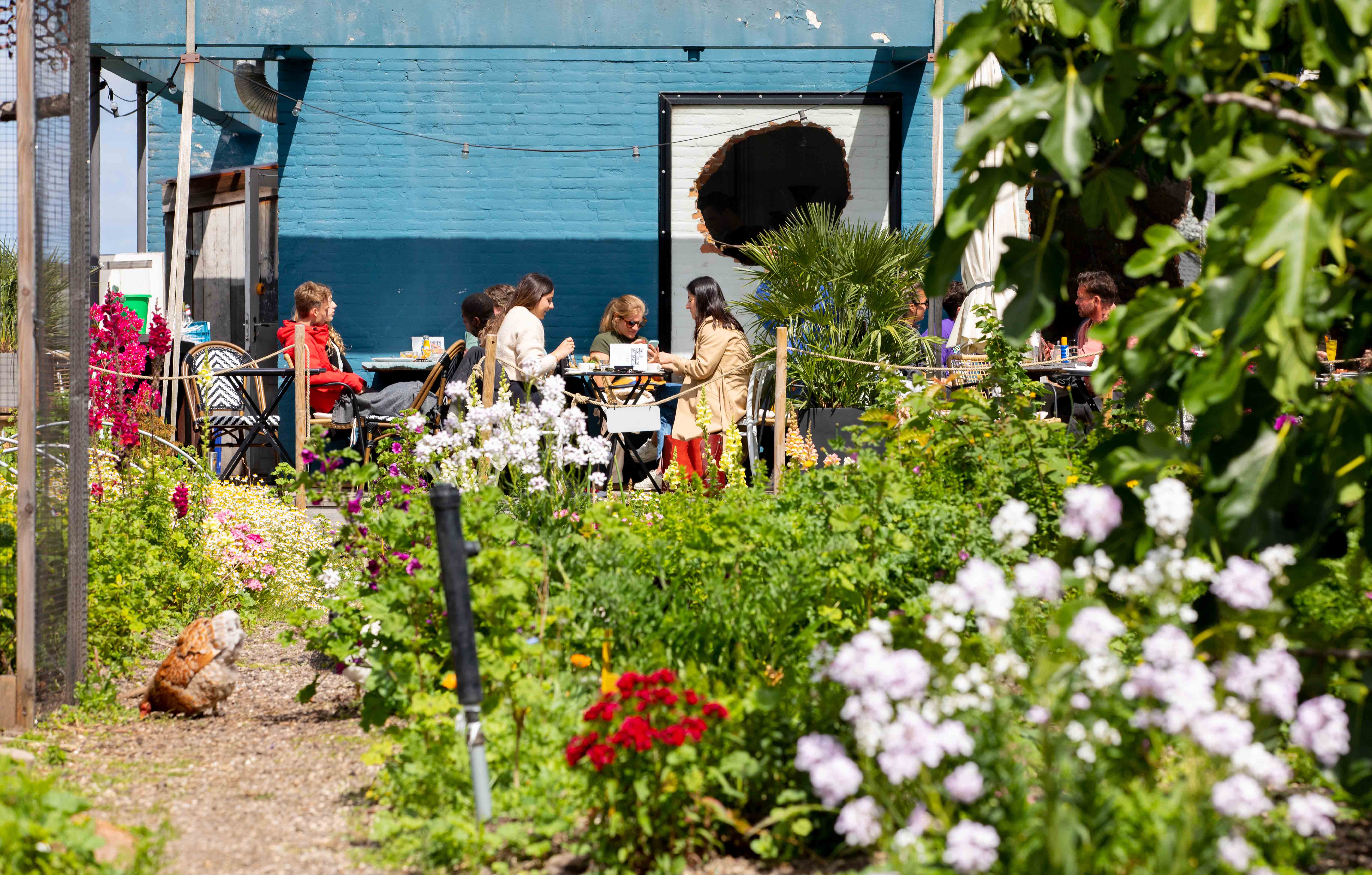 All day brunch-restaurant Teds on top of the Schieblock. Photo by Iris van den Broek