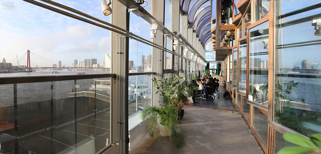 Photo of the BlueCity interior