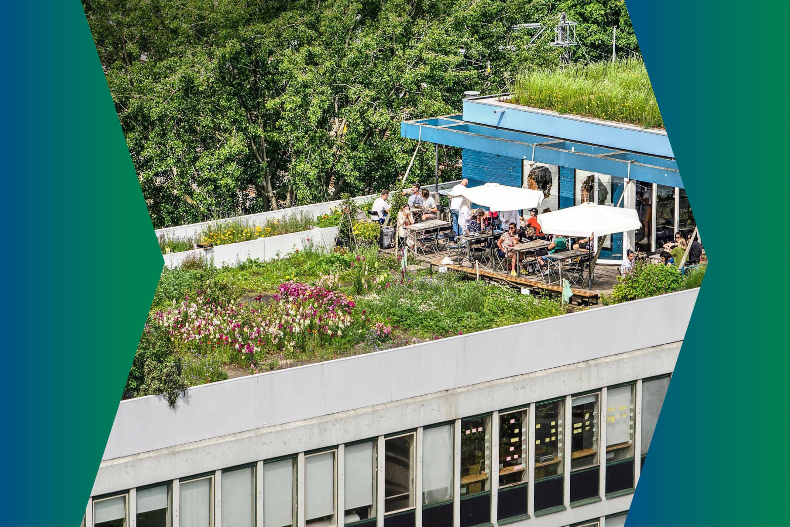 Multifunctional roofs: the new horizon of Rotterdam