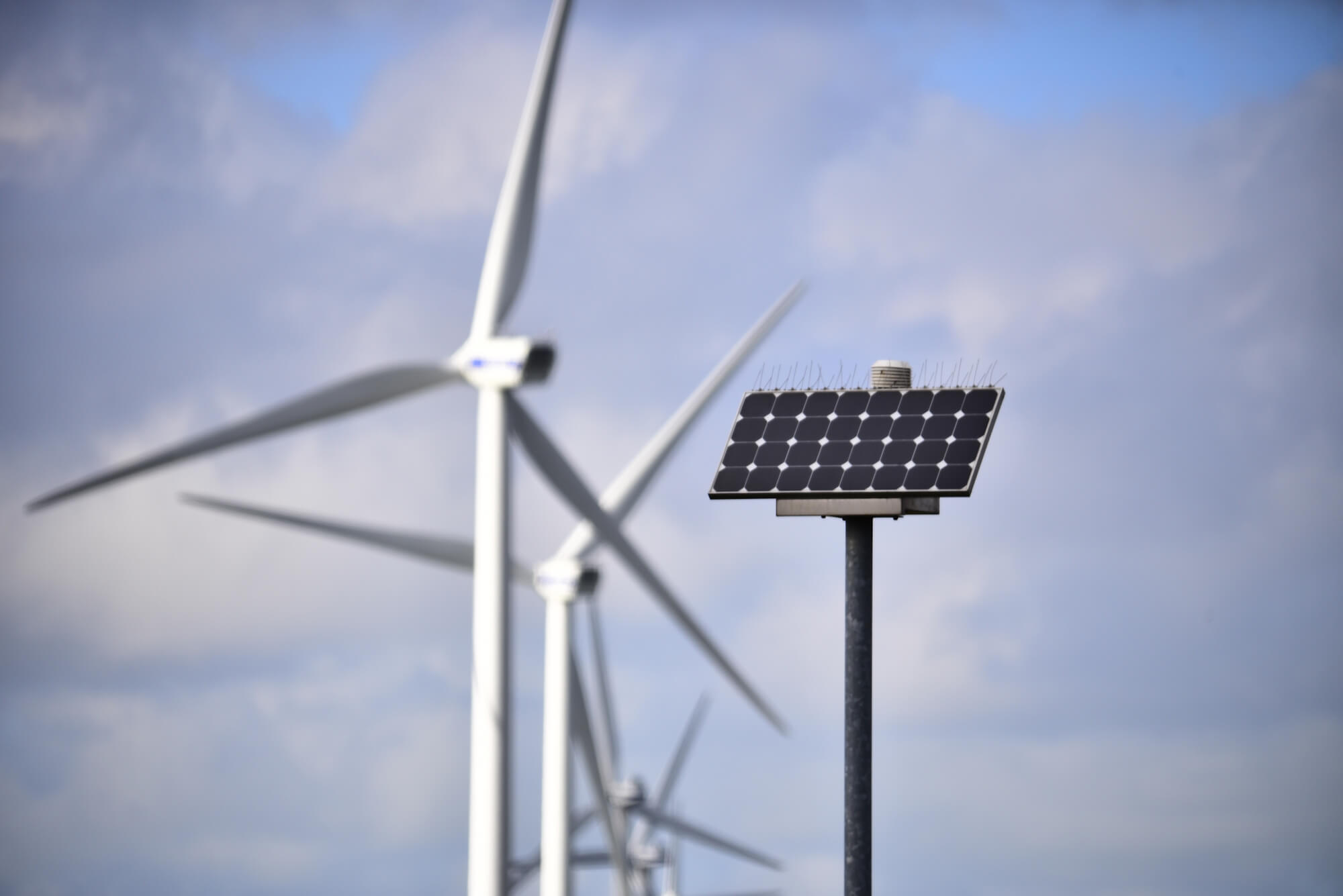 Rotterdam supports innovative sustainable companies with SES subsidies