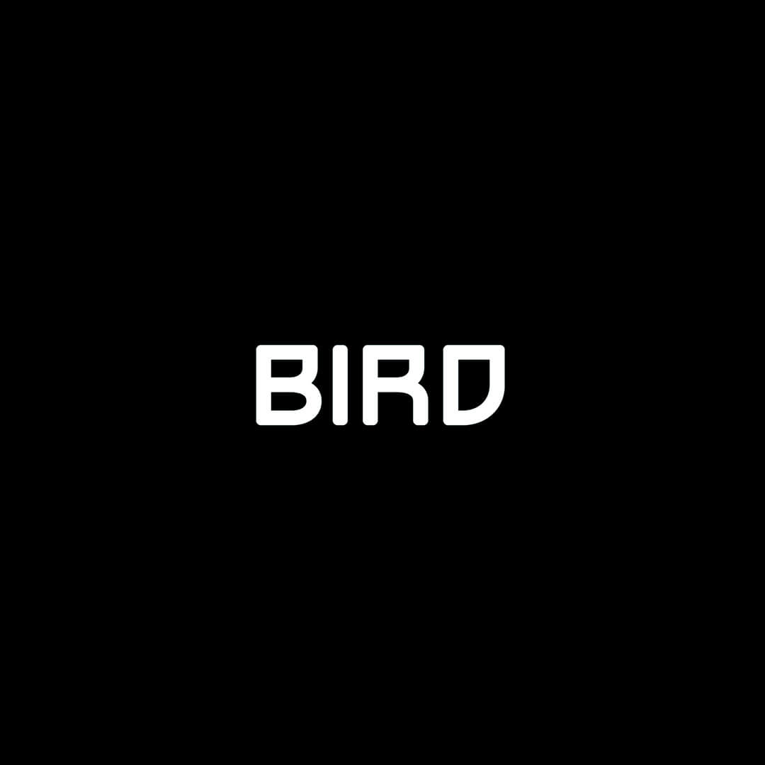 Logo Bird