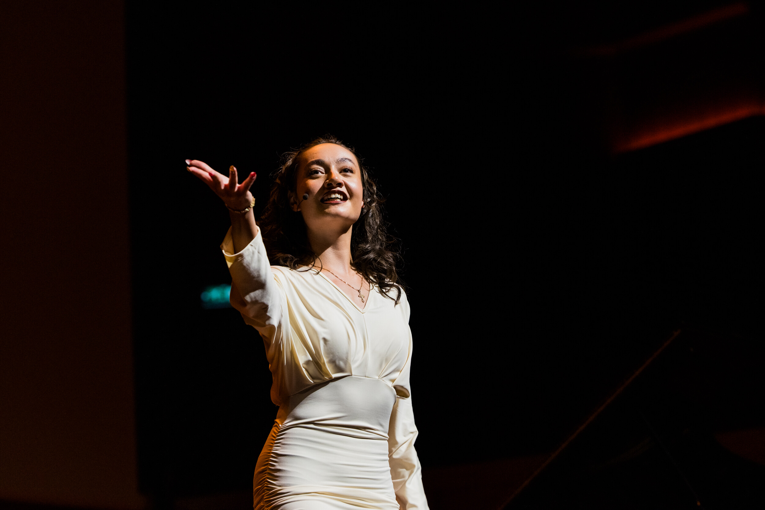 Red Carpet Dinner 2024